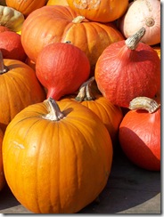 Nice Pumpkin Collection 3